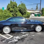 Auto Detailing Near Me