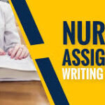 best nursing assignment help