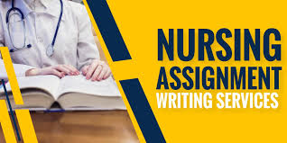 best nursing assignment help